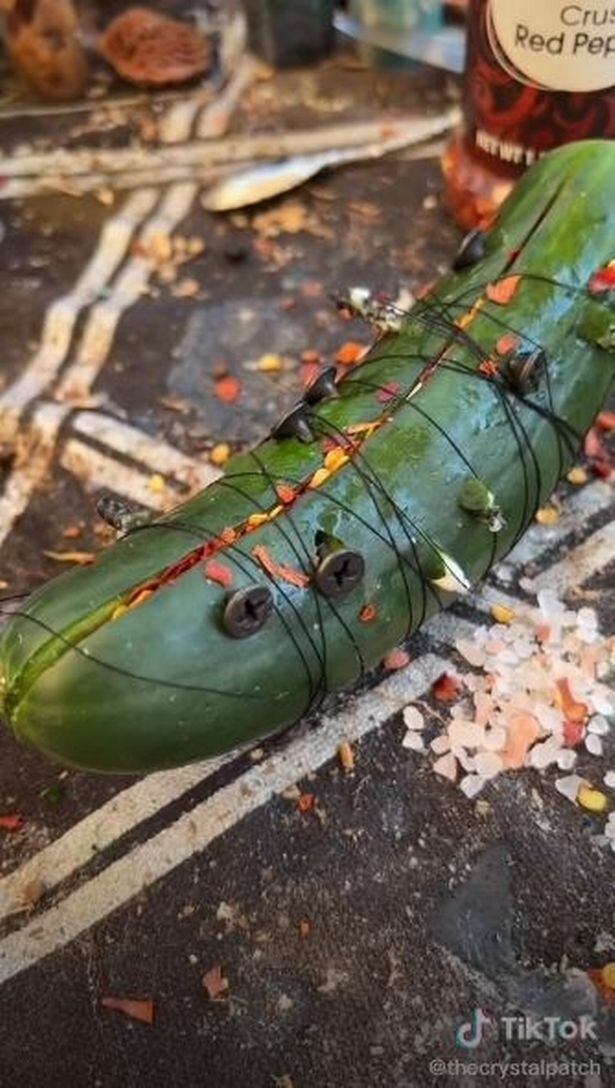 відьма розповіла, як проклясти геніталії колишнього