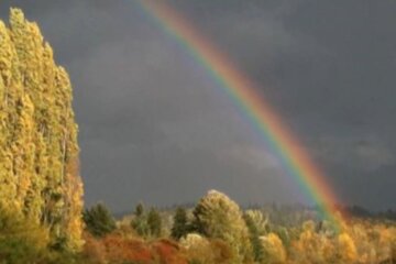 Погода