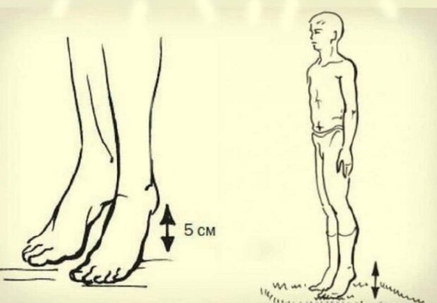 Упражнение для долголетия
