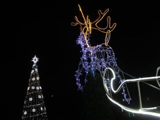 Елка в Киеве, фото из соцсетей