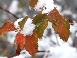 Погода, похолодання