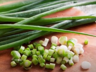 Зеленый лук