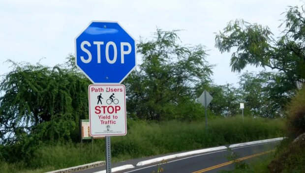 Синій снак Stop (фото: Wikimedia Commons)