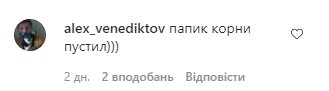 Комментарии со страницы Дарьи Петрожицкой в Instagram