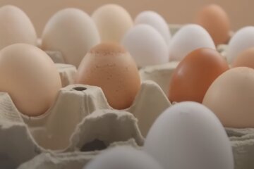 Яйця: скрін з відео