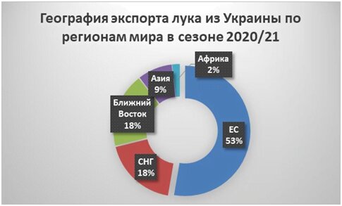 географія експорту цибулі