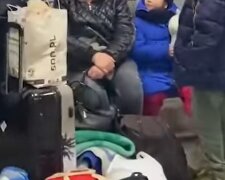 Переселенцы