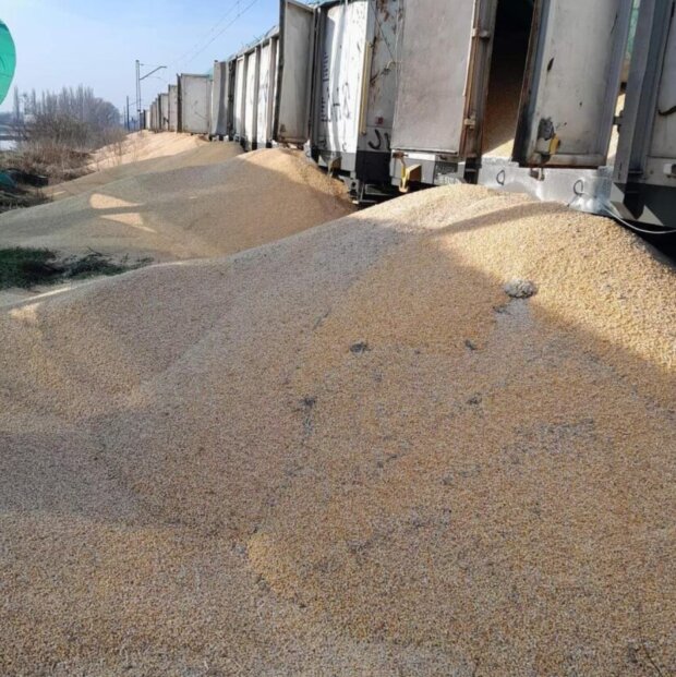 Поляки висипали українське зерно, фото із соцмереж