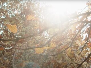 Погода, осень, "бабье лето"