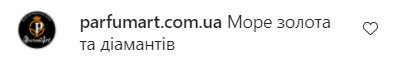 Коментарі на пост Олі Полякової в Instagram