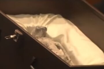 Мумия НЛО, кадр из видео