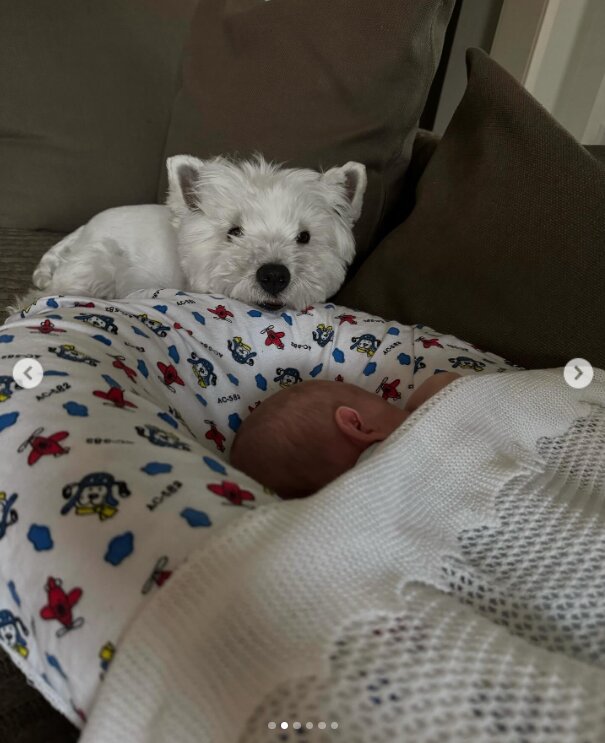 Скрин публикации Леси Никитюк