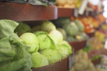 Белокачанная капуста