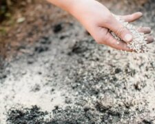 Кісткове борошно, зображення з вільних джерел
