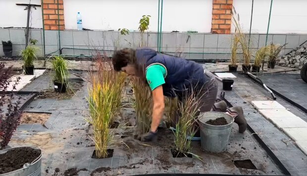 огородные работы