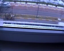 Окна, конденсат, плесень