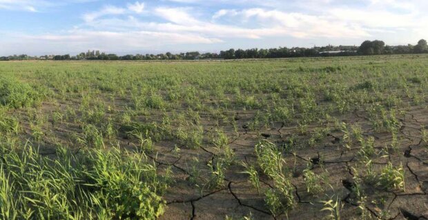 Город на Каховському водосховищі