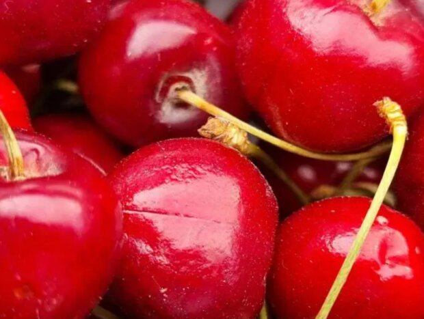 Вишня, кадр из видео