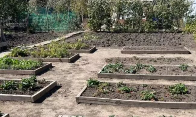 Огород: скрин из сети