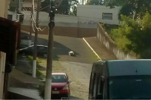 Похоронна компанія загубила труну з тілом посеред вулиці