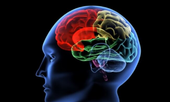 Самотність краще розвиває мозок, неймовірне відкриття вчених