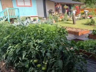 Дача: скрін з відео