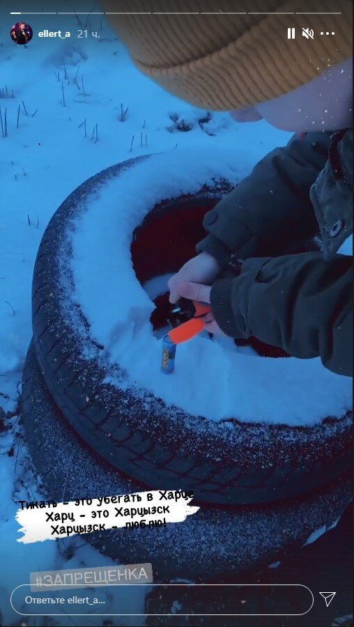 сториз Александра Эллерта