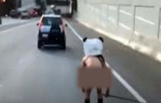 Світ збожеволів: оголений чоловік у масці плюшевої панди їхав на роликах по автомагістралі