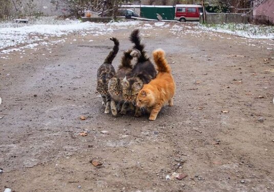 Фото из Instagram "Это Запорожье"