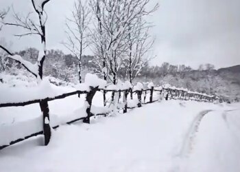 Погода, зима