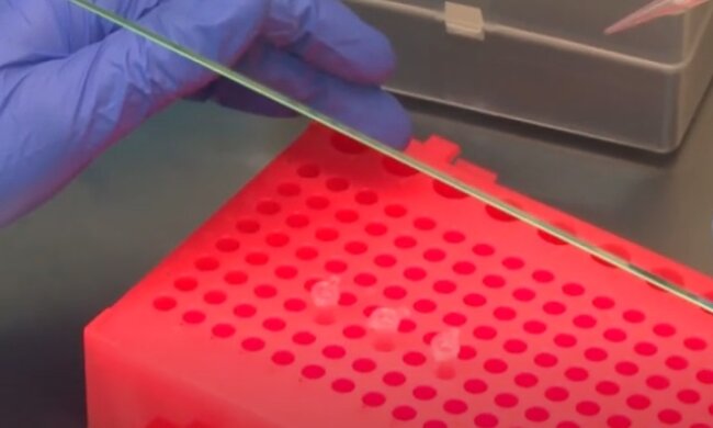 У ВООЗ розповіли, коли чекати третьої хвилі коронавірусу