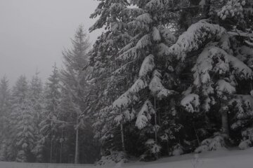 Сніжна зима, скріншот із відео