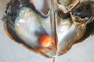 Рибалка на пляжі знайшов унікальну помаранчеву перлину Мело