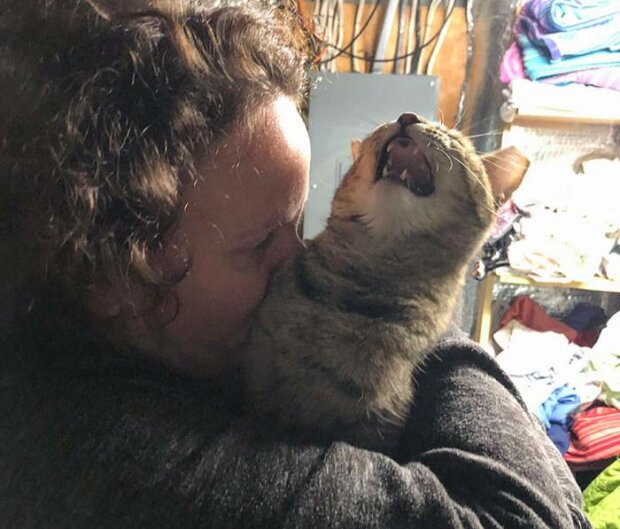 жінка і кішка