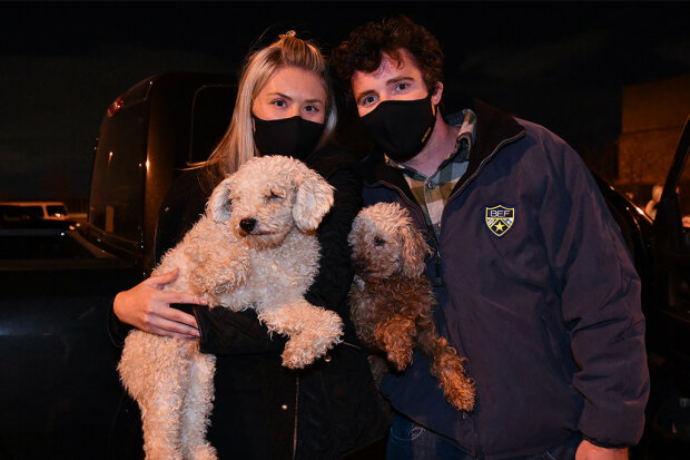 собак хотели пустить на мясо и съесть