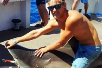 мужчина запрыгнул на спину акуле