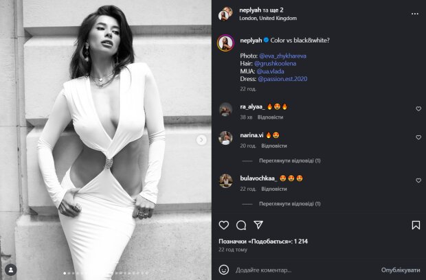 Скрін публікації Анни Неплях