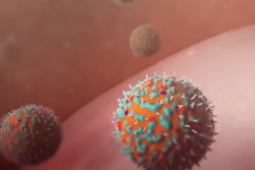 Это надо знать всем: ученые обнаружили, что избавляет от коронавируса