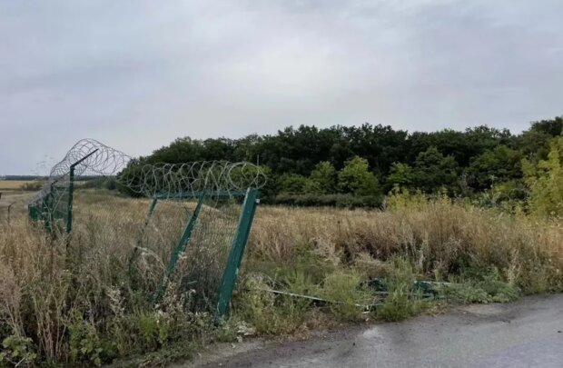 "Стіна Яценюка", фото із соцетей