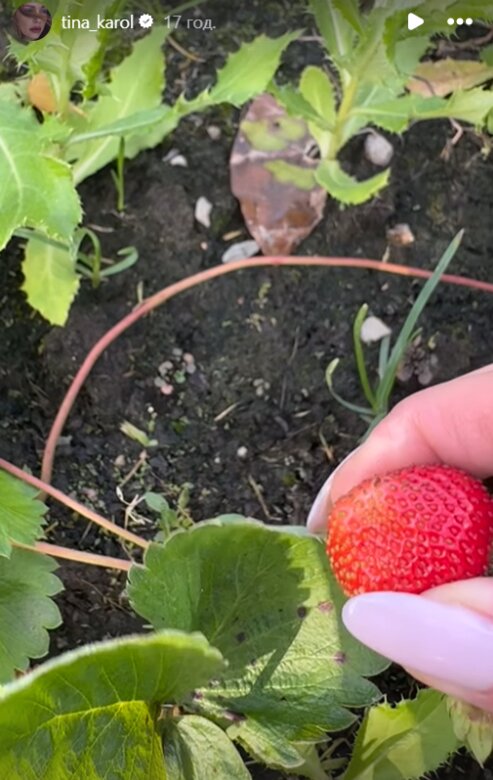 Скрин публикации Тины Кароль