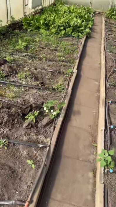 Скрин публікації Олі Полякової