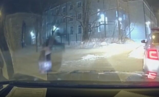 водій зробив сальто перед інспекторами ДПС в Росії