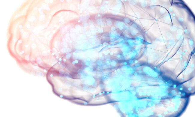 Складний нейтрон в людському мозку