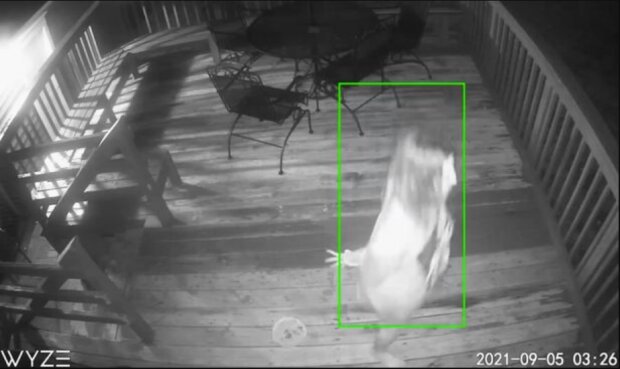 Женщина-зомби