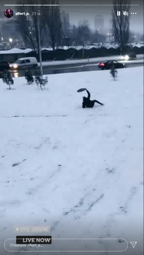 сториз Александра Эллерта