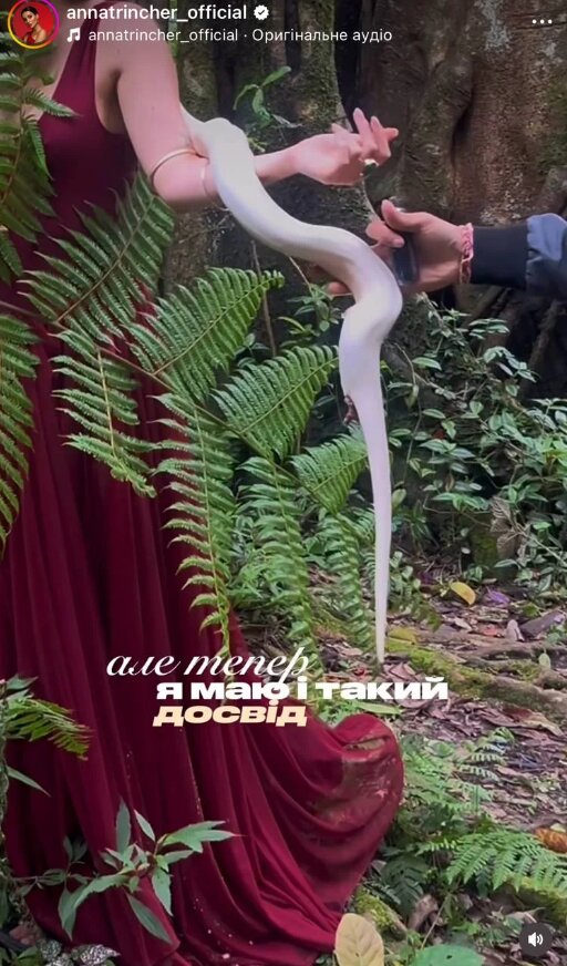 Скрин пубилкации Анны Тринчер