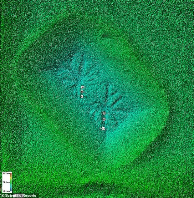 таємничі "павуки" на Марсі