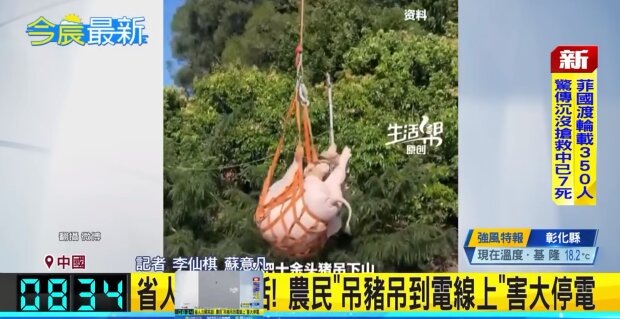 Свиня на дроні викликала масові відключення світла