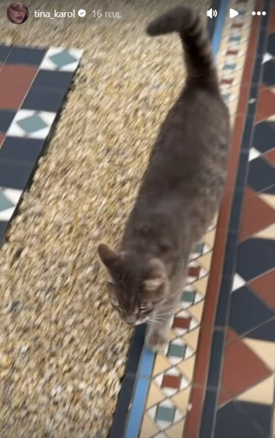 Скрин публикации Тины Кароль