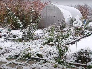 Город, зима